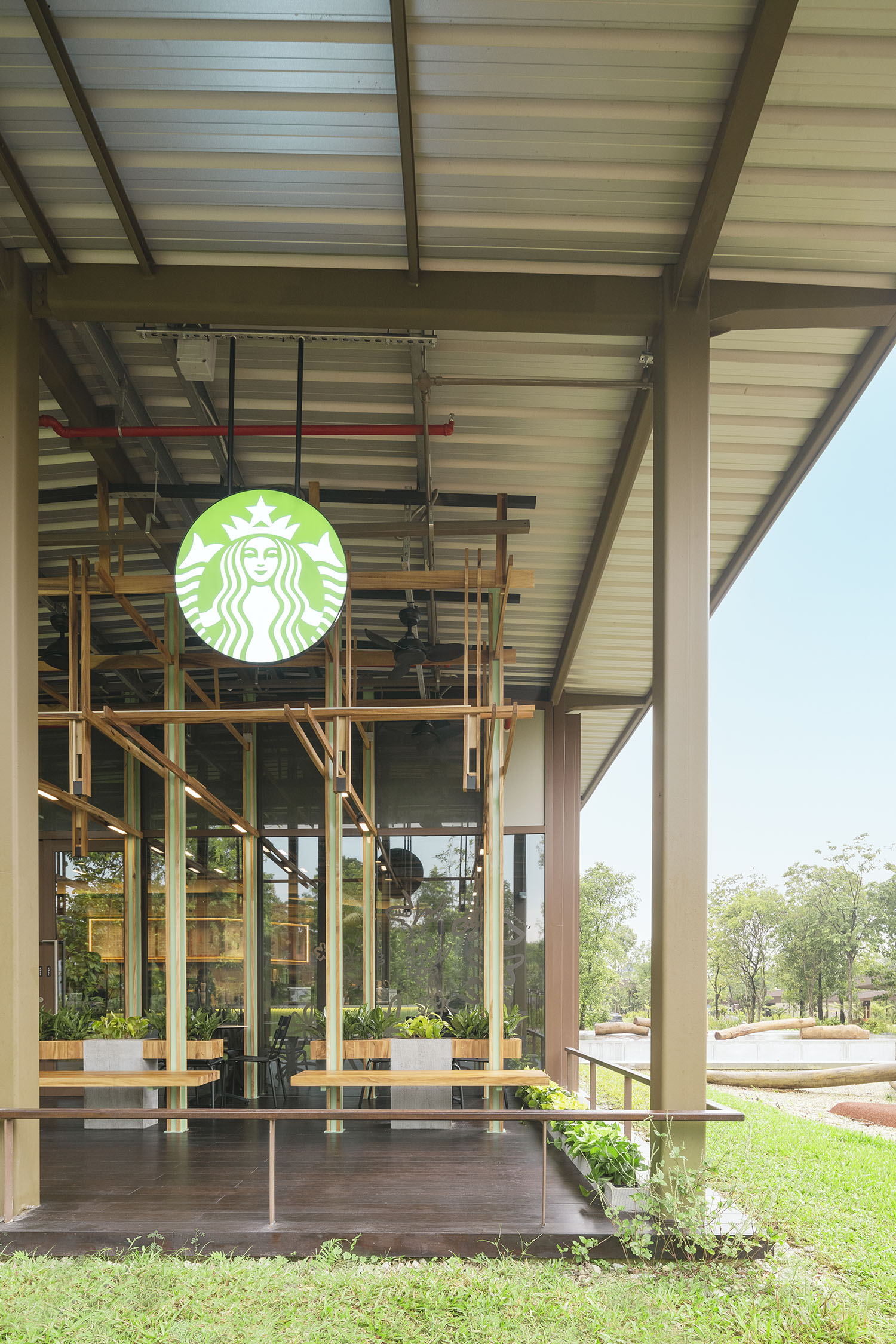 星巴克鸟的天堂