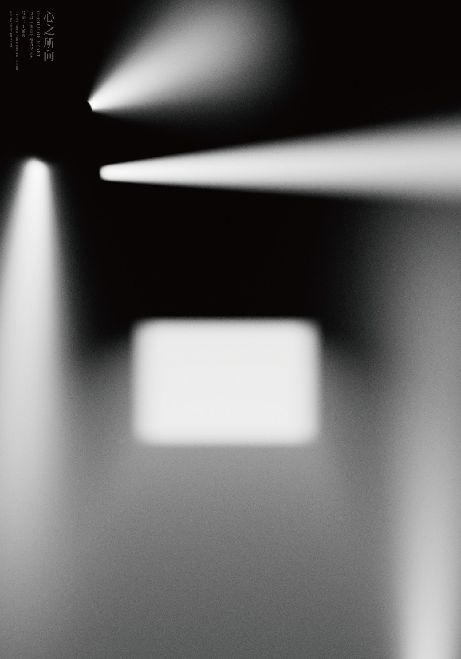 心之所向